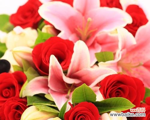 解读玫瑰的不同颜色和数量所代表的意义 12朵玫瑰花语的真正含义