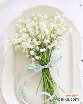 用白色满天星传递纯洁与梦幻的情感 白色满天星的花语——纯洁与梦幻