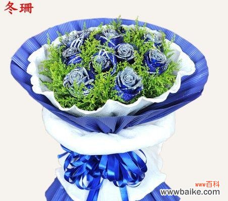 一段关于追逐“虚幻”与“现实”的传说 探究“蓝色妖姬”传说的含义