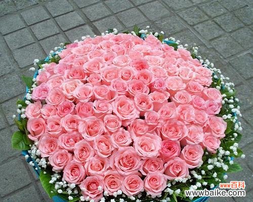 一束爱的致意，传递心中的情感 99朵粉玫瑰的花语