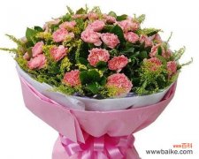 探究康乃馨的寓意与象征 康乃馨的花语