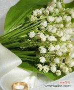 探寻铃兰的文化意义 铃兰的花语和寓意