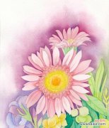 探寻粉色扶郎花的神秘花语之谜 粉色扶郎花的花语和寓意