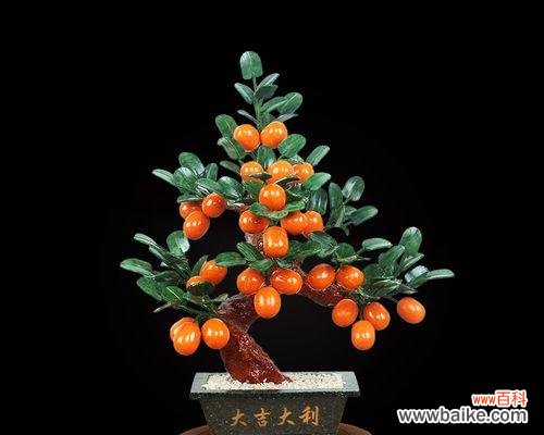 桔子树的风水寓意是什么？如何正确摆放桔子树？