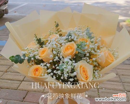 传递爱的温度 11朵香槟玫瑰的代表寓意