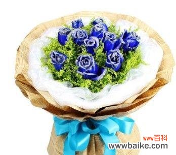 探寻蓝色玫瑰的神秘之意 蓝色妖姬玫瑰的花语