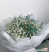 探寻花海中满天星的含义与特殊之处 满天星的花语与象征