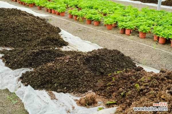 盆栽花卉土壤板结怎么办
