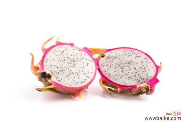 盆栽火龙果为什么长不高