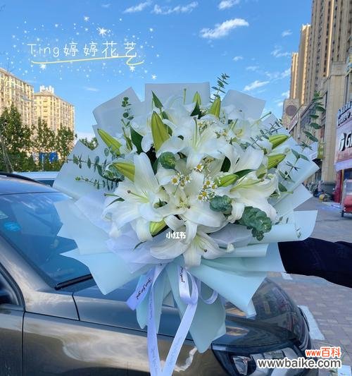 探寻白百合的象征意义与背后的传说 白百合花语与传说