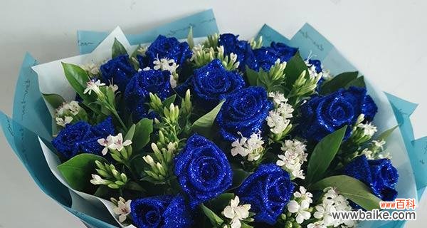探索蓝色妖姬的花语和寓意,了解它的神秘之处 蓝色妖姬——神秘、高贵的花语