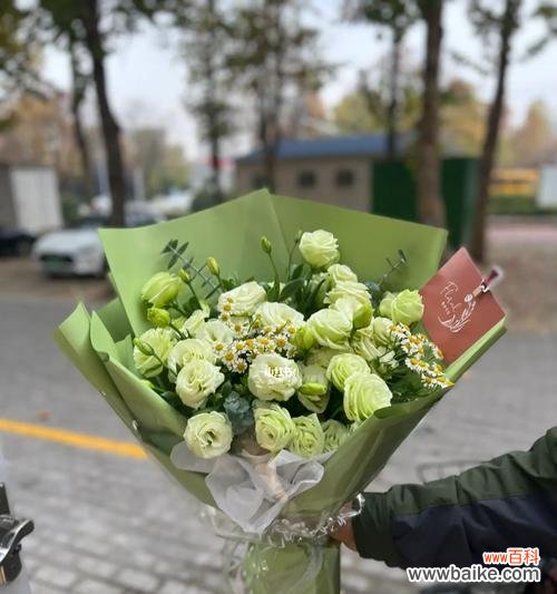 探寻绿色洋桔梗的花语意义 绿色洋桔梗花语详解