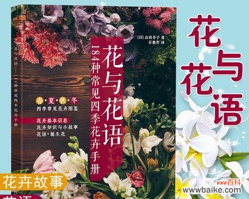 用花朵的语言诉说心意 鲜花的花语与情感传达