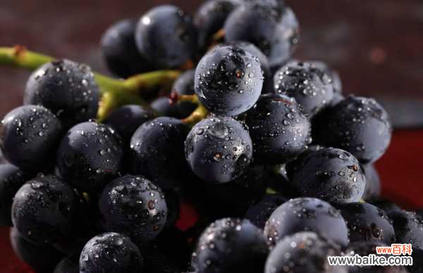 盆栽葡萄落果怎么办