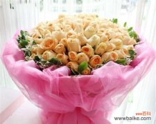 探究香槟玫瑰的情感寓意 十一朵香槟玫瑰的花语