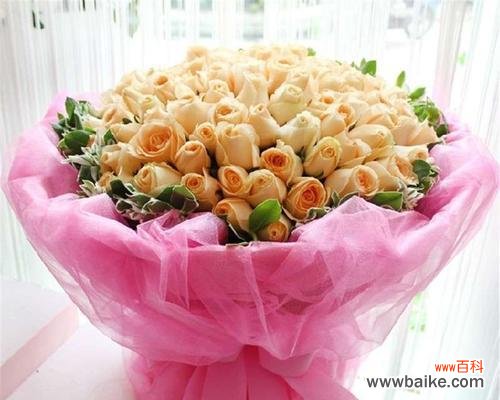 探究香槟玫瑰的情感寓意 十一朵香槟玫瑰的花语