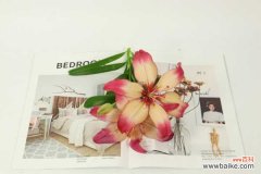 百合花花苞长不好怎么办