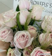 浪漫之语传递真情 粉红玫瑰的花语含义