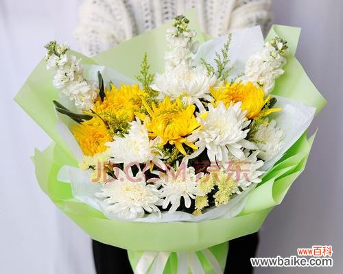 菊花文化的传承与演变 菊花文化的传承与演变