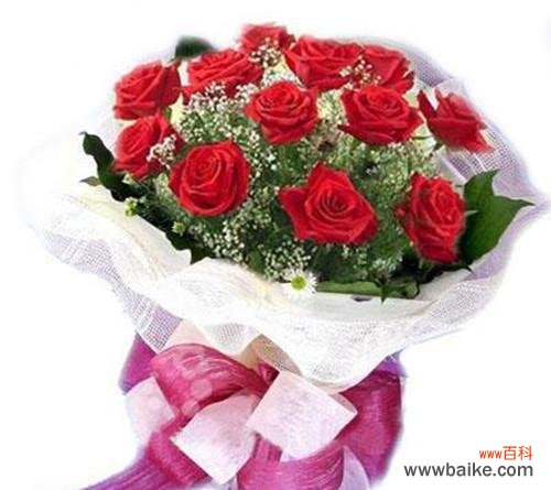 乌鲁木齐市花的意义及特点 乌鲁木齐市花是什么花