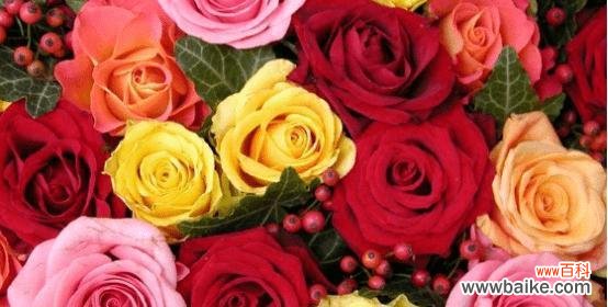 什么花象征欢迎回家？如何用花卉表达欢迎之情？