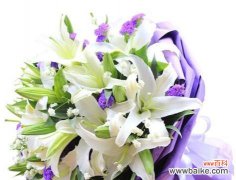 什么花代表亲情？亲情象征的花卉有哪些？