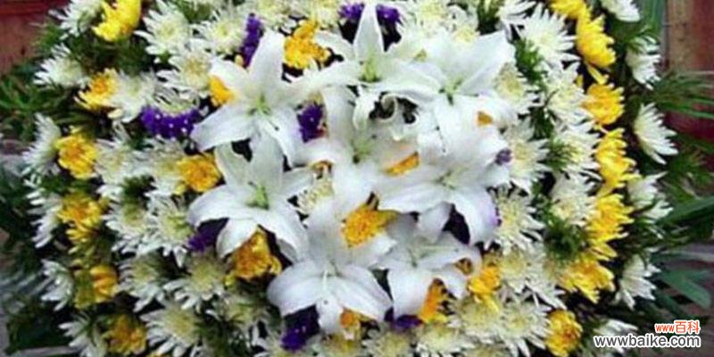 什么花代表思念去世的人？如何选择合适的花卉表达哀思？