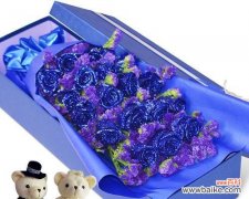 了解十一朵粉玫瑰的深刻含义与情感 十一朵粉玫瑰花语的含义