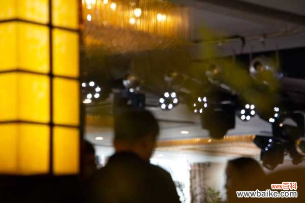 兰花茎腐病用什么药