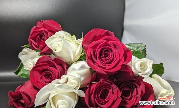 什么花代表我爱你？如何用花卉表达爱意？