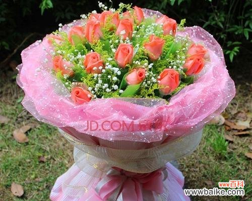 揭秘不同朵数的花束所传递的情感 十九朵粉玫瑰的花语