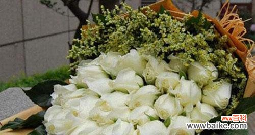 探寻白玫瑰的内涵及文化传承 白玫瑰的象征意义