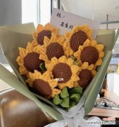 探索向日葵花语的魅力 向日葵花语