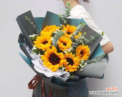 向日葵的阳光之礼 向日葵的几朵含义