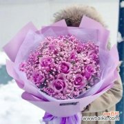 传递祝福与美好生命的象征 紫色满天星的花语