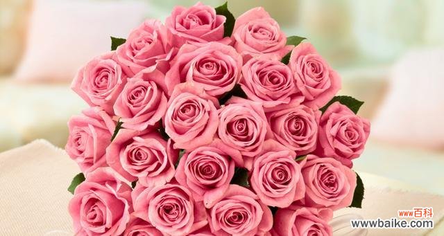 探究13朵红玫瑰的传情秘密 解析13朵红玫瑰的代表意义