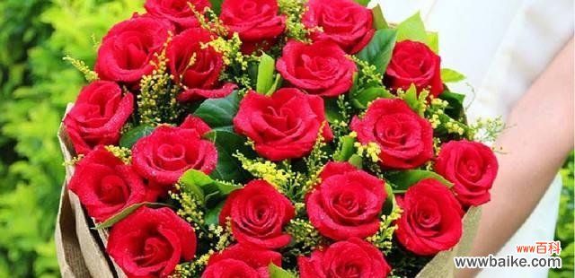 探究13朵红玫瑰的传情秘密 解析13朵红玫瑰的代表意义
