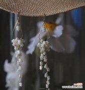 探寻流苏花独特的意义与象征 流苏花的花语