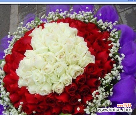 传达爱情与敬意的两种花色，了解其中的代表意义 白玫瑰红玫瑰的花语与文化内涵