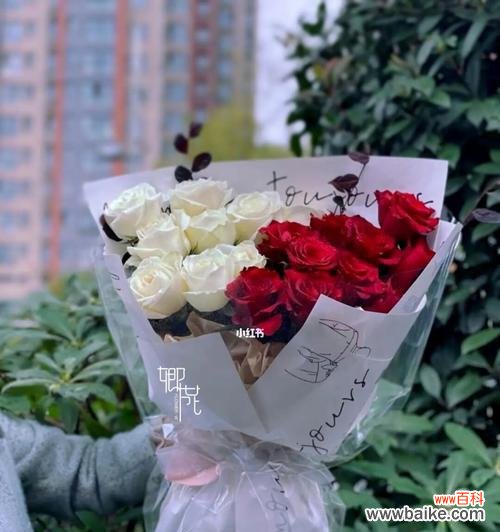 传达爱情与敬意的两种花色，了解其中的代表意义 白玫瑰红玫瑰的花语与文化内涵