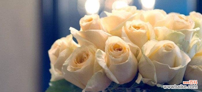 了解香槟玫瑰所代表的花语，传达爱情的真谛 香槟玫瑰花语揭秘