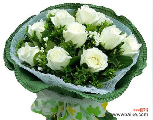 探究11朵玫瑰在不同场合中的意义与象征 11朵玫瑰的寓意及象征意义