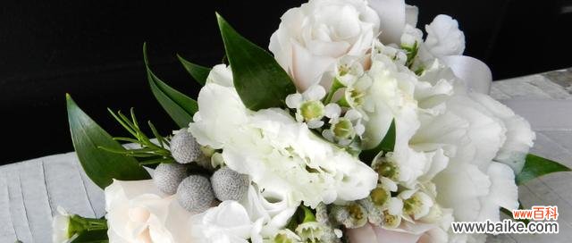 传递真挚感情的代表，寓意真诚坚定的爱情 白色洋桔梗花语——永恒的爱