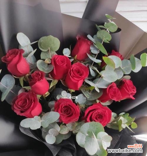 解读11朵红玫瑰所代表的意义及象征 11朵红玫瑰的寓意