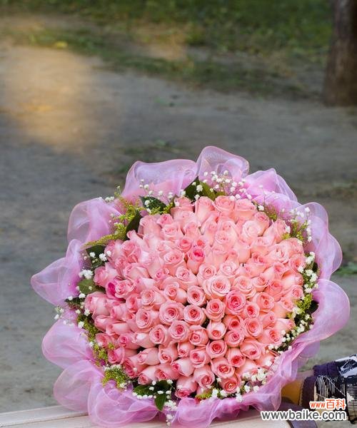 浪漫爱情的象征与深刻意义 24朵玫瑰代表的含义