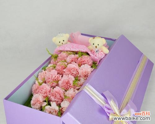 探寻紫色康乃馨的情感意义 紫色康乃馨花语