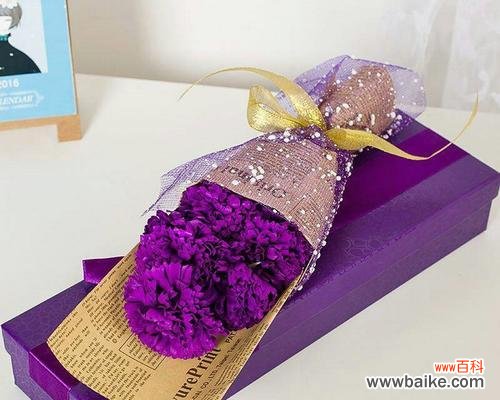 探寻紫色康乃馨的情感意义 紫色康乃馨花语