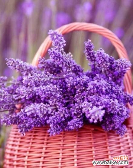 爱的希望与等待 等待爱情的奇迹