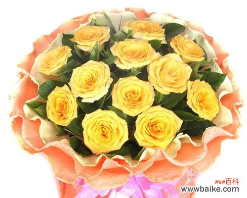 探寻11朵黄玫瑰的含义 黄玫瑰的花语意义