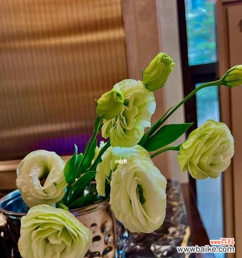 用洋桔梗传达心意 洋桔梗花语与种植方法